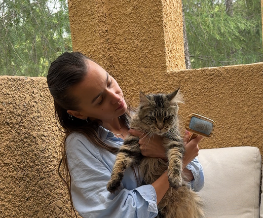 Why Brushing Matters for Long-Haired Cats: Tips from a Maine Coon Mom